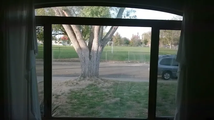 Window tinting mobile 0