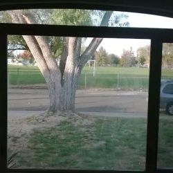 Window tinting mobile ico