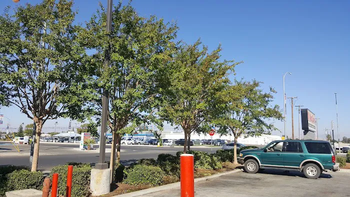 AutoZone Auto Parts 3
