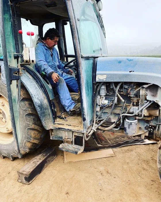 Sierra Auto Truck & Tractor 1