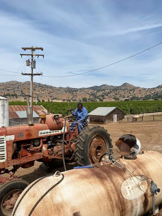 Sierra Auto Truck & Tractor 8