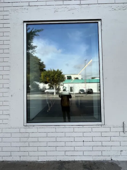 Window Tints Everything 1