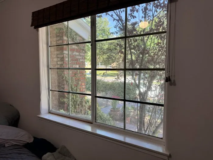 Window Tints Everything 6