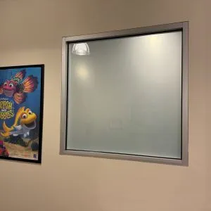 Window Tints Everything 8