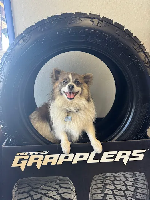 Badasci Tire, Inc. 4