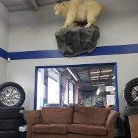 Badasci Tire, Inc.
