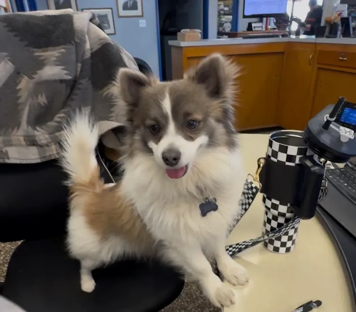 Badasci Tire, Inc. 6