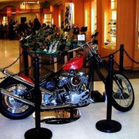 Cajun Motors