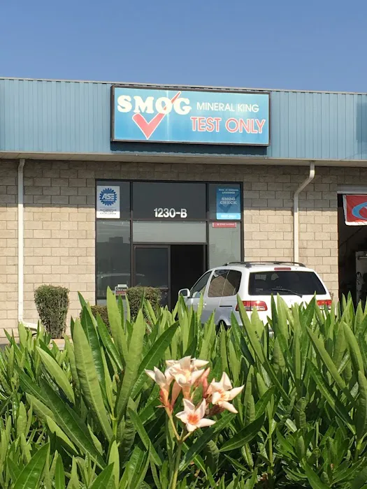 Mineral King Smog Test Only 4
