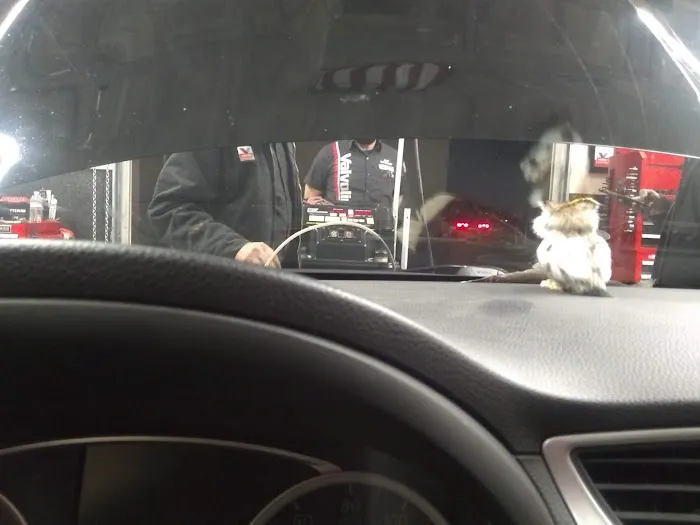 Valvoline Instant Oil Change 6