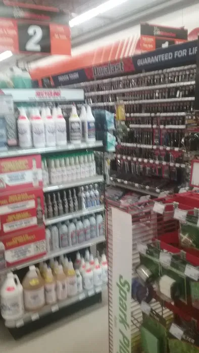 AutoZone Auto Parts 1