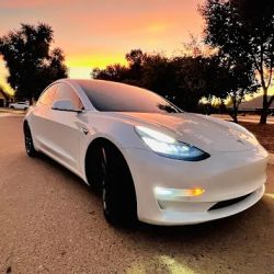 Quality Tinting ico