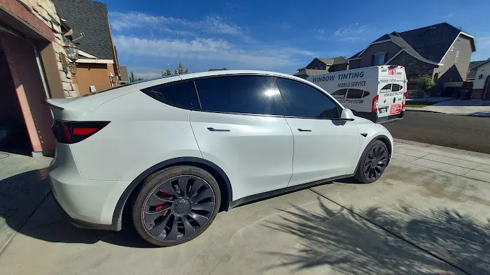 Smart Tint Choice 7