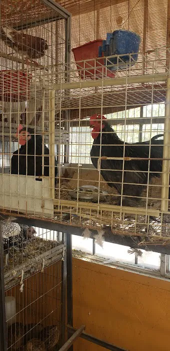 Leon's New & Used Tires 6