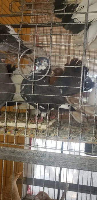 Leon's New & Used Tires 2