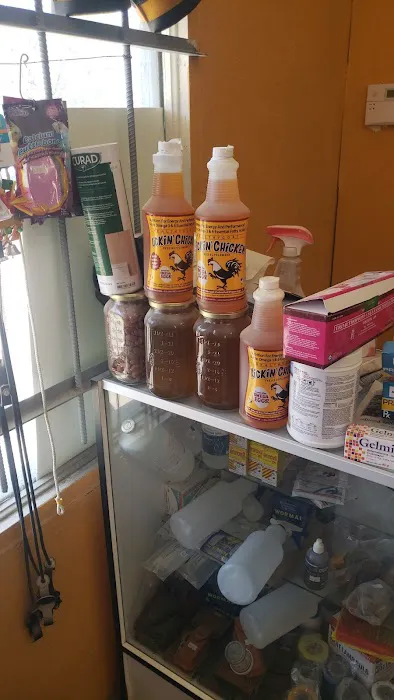 Leon's New & Used Tires 5