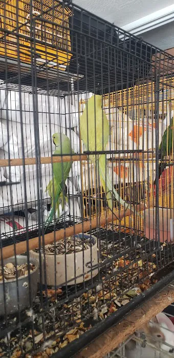 Leon's New & Used Tires 4