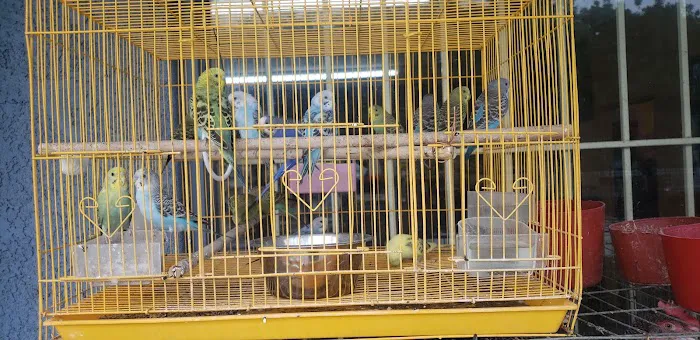 Leon's New & Used Tires 3