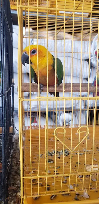 Leon's New & Used Tires 1