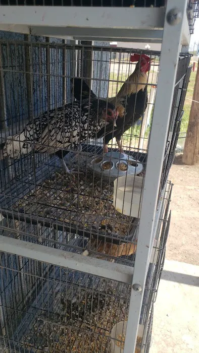 Leon's New & Used Tires 9