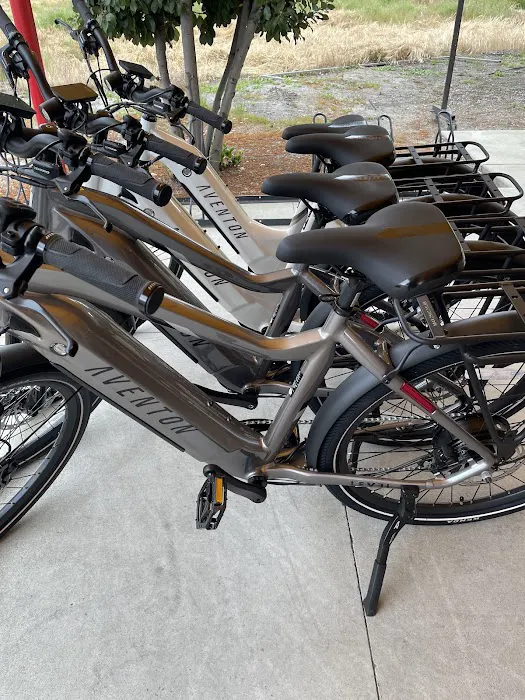 Giant Chevrolet Parts Department 5