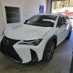 High Caliber Auto Glass ico