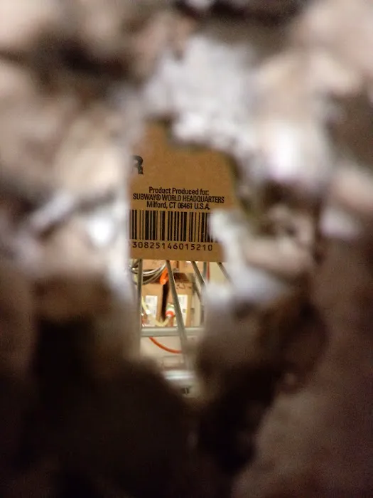 California Window Tint 8