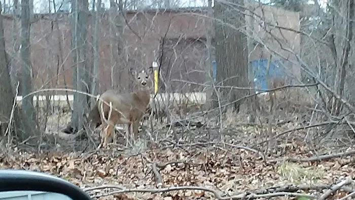 Ohio E-Check 4