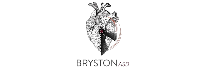Bryston ASD 0