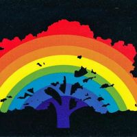 Rainbow Muffler & Brake – Clark