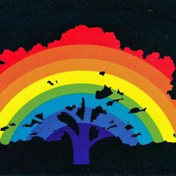 Rainbow Muffler & Brake – Clark ico
