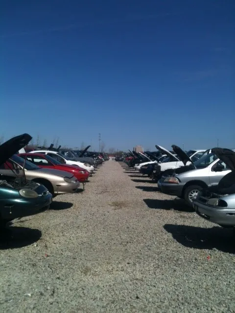 Pull-A-Part 5