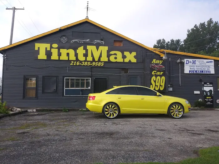 Tint Max Custom Auto Styles 4