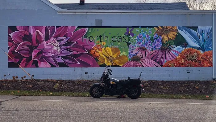 North East Auto Glass 1