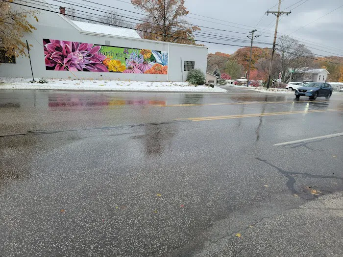 North East Auto Glass 2