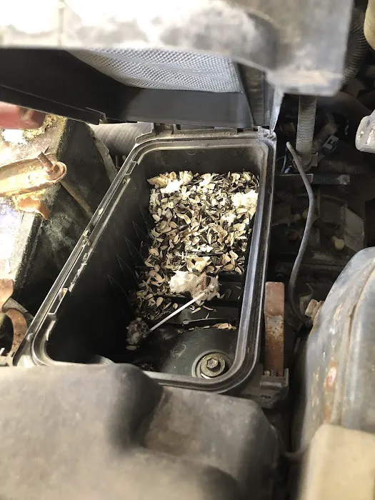 Take 5 Oil Change 7