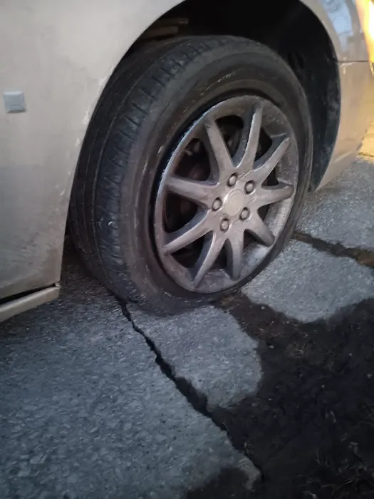 Lee tire discount 8