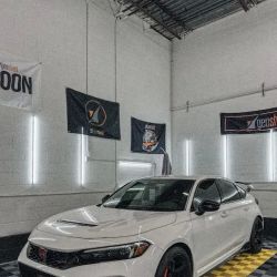Royalty Tint ico