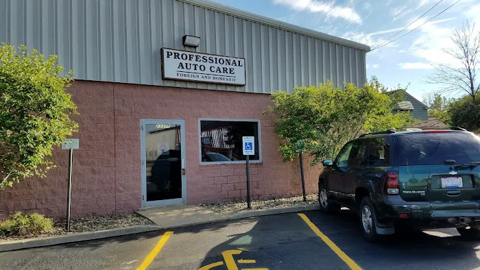 Professional Auto Care 0
