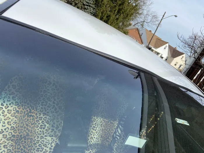 Auto Glass Now 9