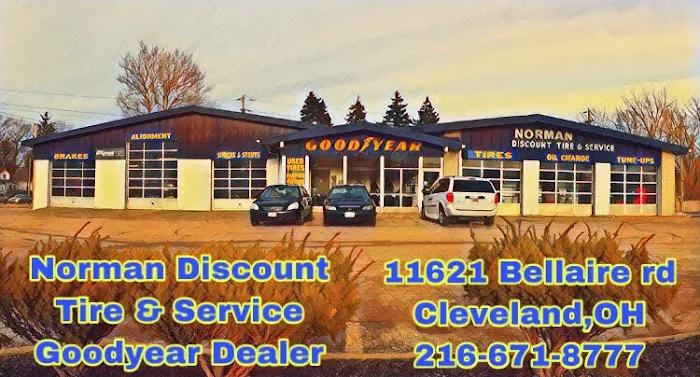 Goodyear Norman Discount Tire & Service Inc. 0