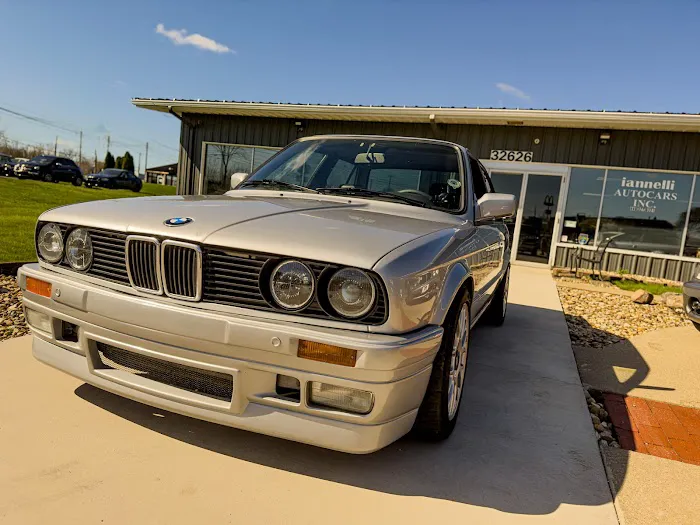 Iannelli Autocars, Inc. 6