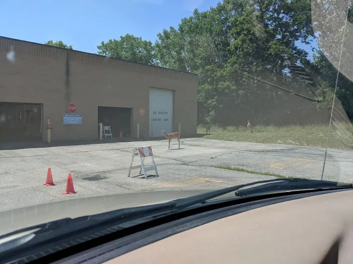 Ohio E-Check 8