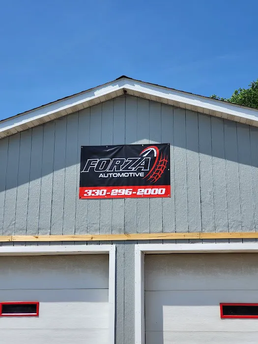 Forza Automotive 9