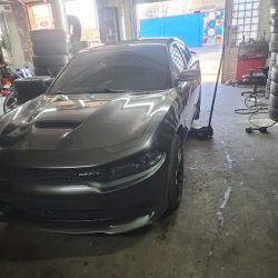 Tire Guy ico