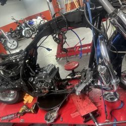 Elite Custom Cycles LLC ico