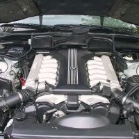 Koala Motorsport