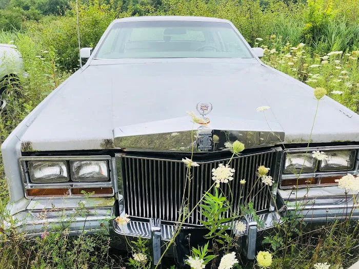 82 Auto Wrecking 1