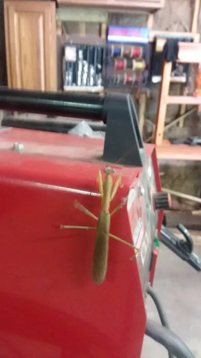 Sal's Garage LLC 3