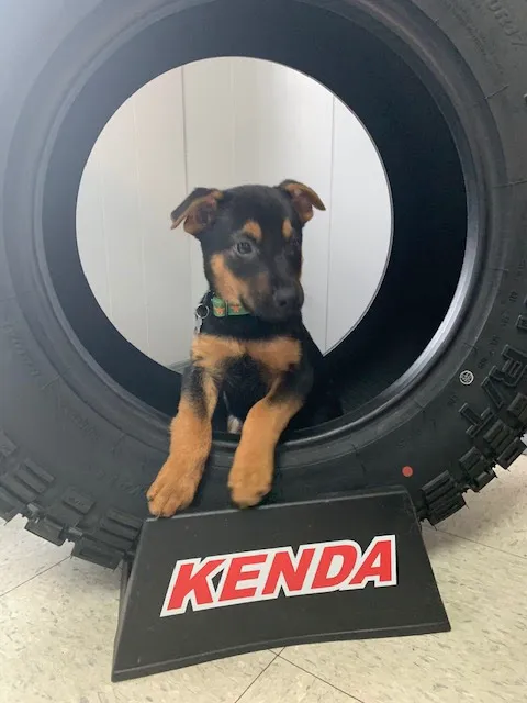 Westside Tire & Service 6